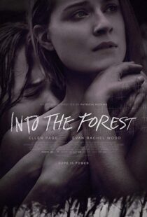 دانلود فیلم Into the Forest 20159776-910624212