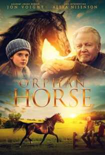 دانلود فیلم Orphan Horse 20188125-1144729265