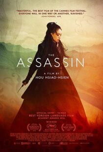 دانلود فیلم The Assassin 201513760-15257427