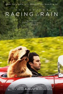 دانلود فیلم The Art of Racing in the Rain 201916633-1006462021