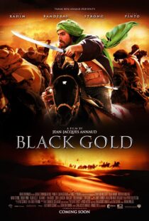 دانلود فیلم Day of the Falcon 201144386-1672199312