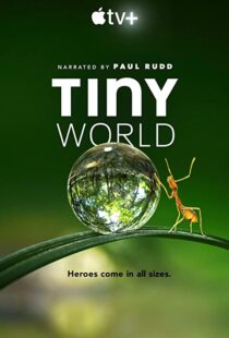 دانلود مستند Tiny World52124-539349288