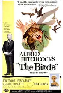 دانلود فیلم The Birds 196382372-1276402389