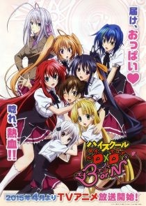 دانلود انیمه High School DxD100222-1415842137