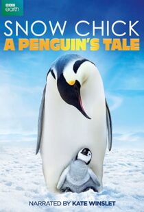 دانلود مستند Snow Chick: A Penguin’s Tale 2015109604-2143864542
