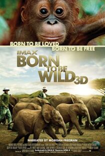 دانلود مستند Born to Be Wild 2011110503-810819732