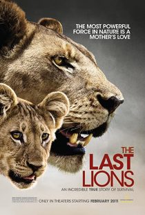 دانلود مستند The Last Lions 2011195626-1218217148