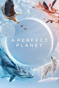 دانلود مستند A Perfect Planet231098-1722064364