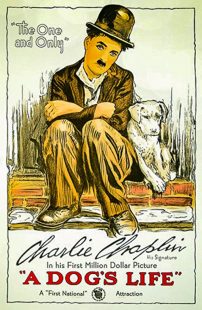 دانلود فیلم A Dog’s Life 1918270674-1855143757