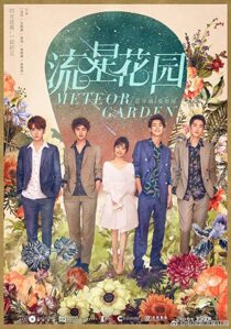 دانلود سریال Meteor Garden333005-1296975414
