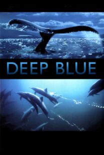 دانلود فیلم Deep Blue 2003333037-348222026
