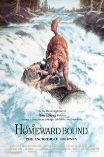 دانلود فیلم Homeward Bound: The Incredible Journey 1993371118-1101502573