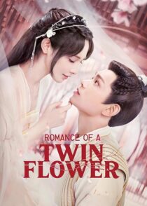 دانلود سریال Romance of a Twin Flower379211-1898210165