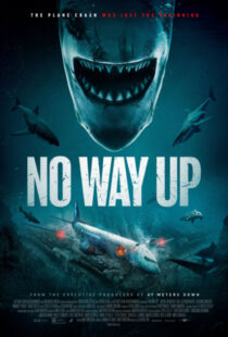 دانلود فیلم No Way Up 2024387586-1873088157