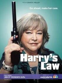دانلود سریال Harry’s Law393952-1509285934