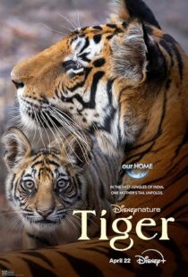 دانلود مستند Tiger 2024396409-1848607583