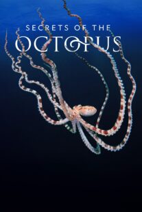 دانلود سریال Secrets of the Octopus401286-566077664