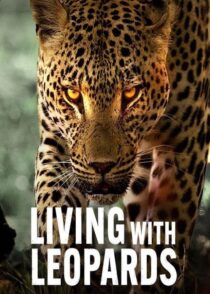 دانلود مستند Living with Leopards 2024400477-352874478