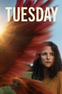دانلود فیلم Tuesday 2023405840-1279353434
