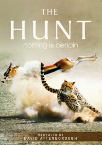 دانلود سریال The Hunt407007-2024353300