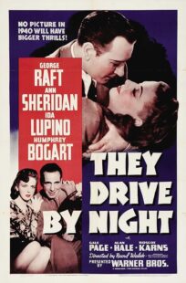 دانلود فیلم They Drive by Night 1940411221-775845479