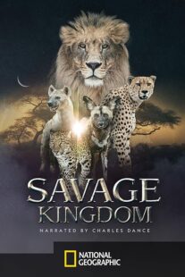 دانلود سریال Savage Kingdom412853-353614134