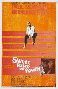 دانلود فیلم Sweet Bird of Youth 1962415738-1162537271