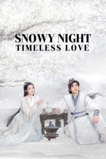دانلود سریال Snowy Night Timeless Love417168-1488566853
