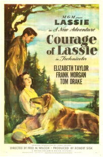دانلود فیلم Courage of Lassie 1946417427-1114906338