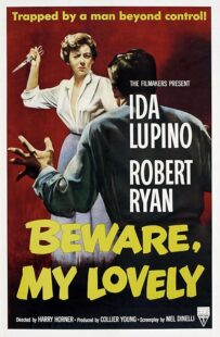 دانلود فیلم Beware, My Lovely 1952420627-637757588