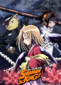 دانلود انیمه Shaman King422246-536295