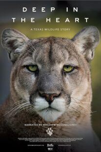 دانلود مستند Deep in the Heart: A Texas Wildlife Story 2022421545-500828132