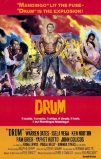 دانلود فیلم Drum 1976423508-1715244218