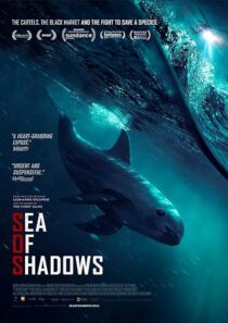 دانلود فیلم Sea of Shadows 2019427147-1986397690